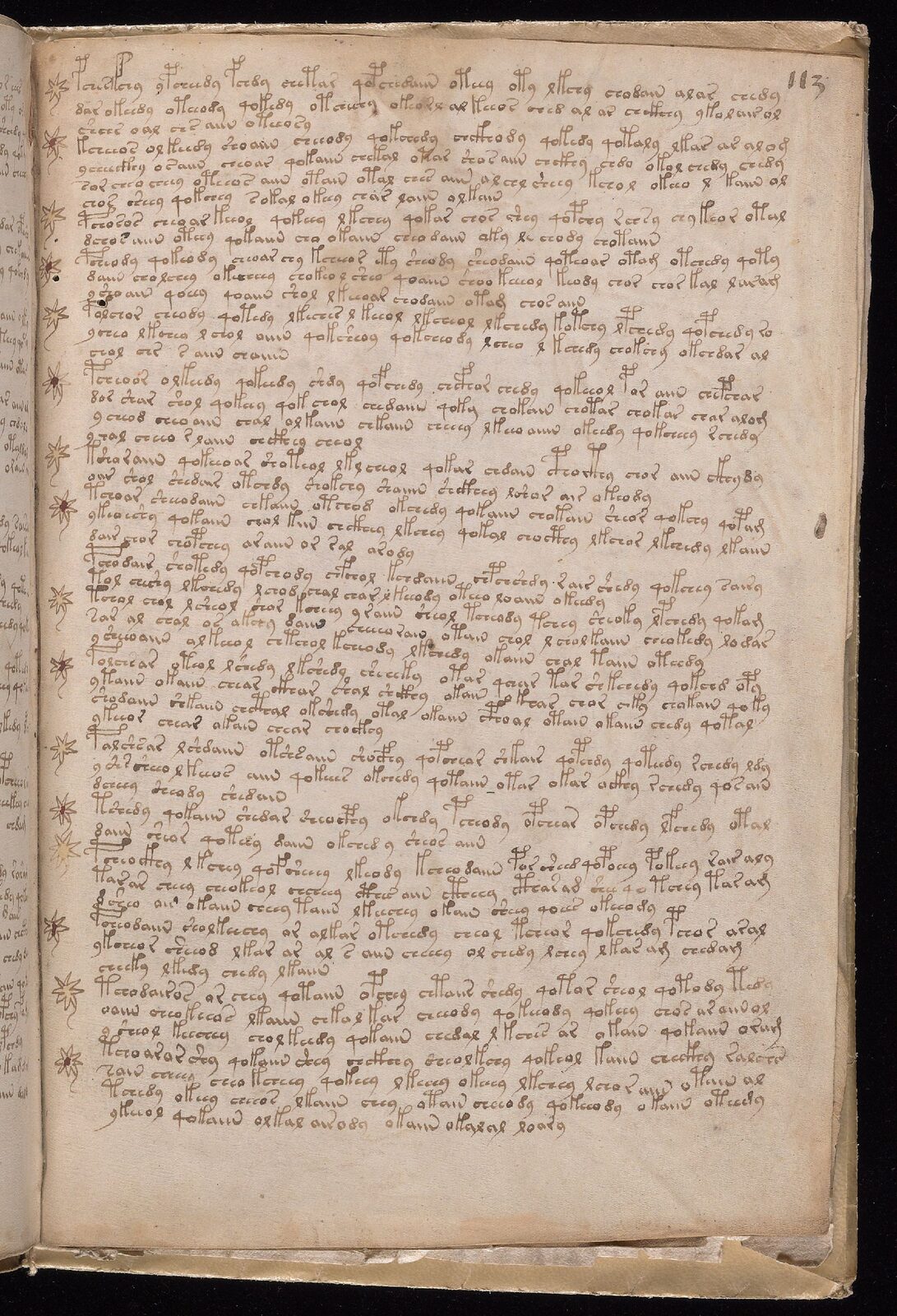 Beinecke MS 408, folio 113r — recipes section.