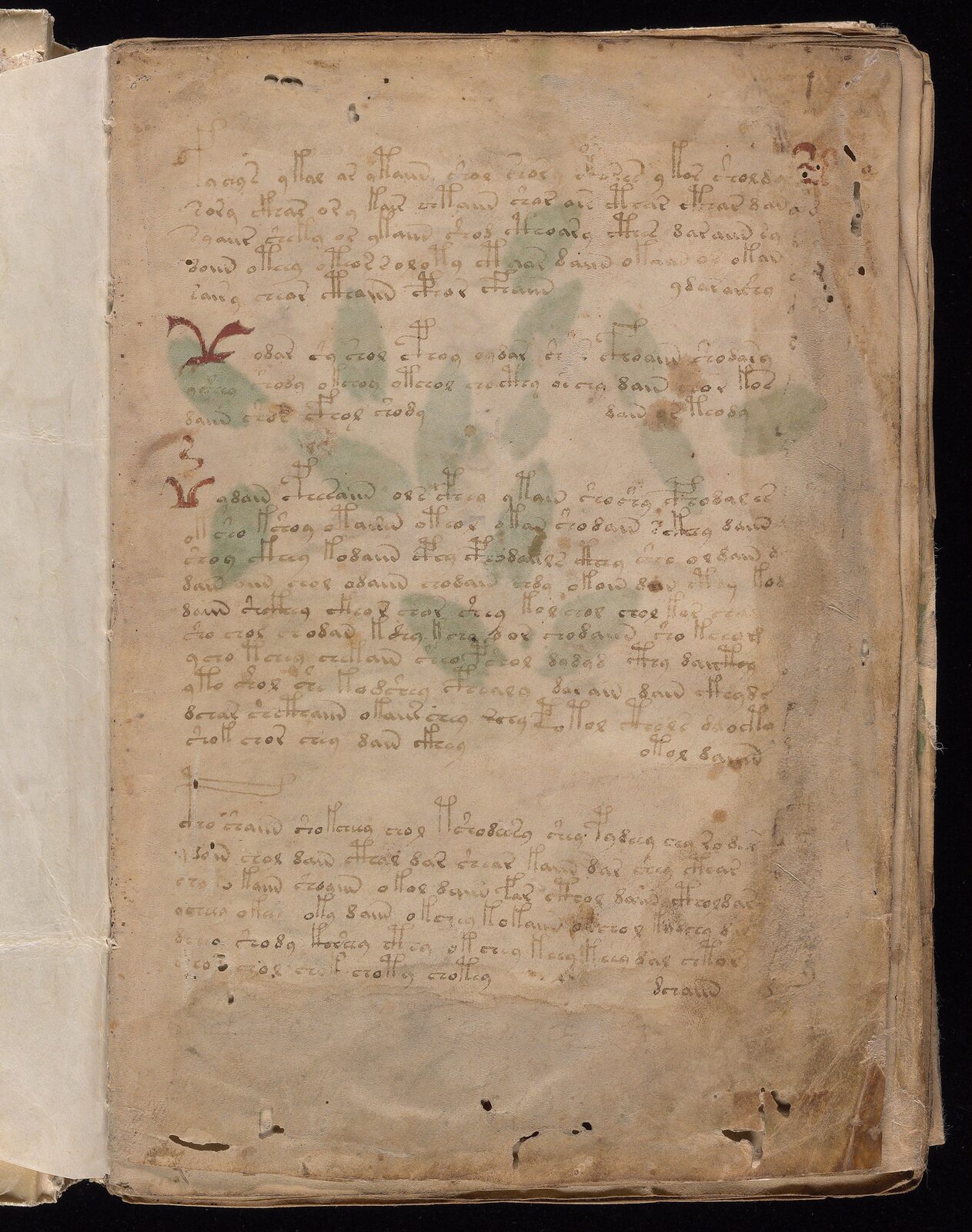 Voynich Manuscript folio f1r — Beinecke MS 408