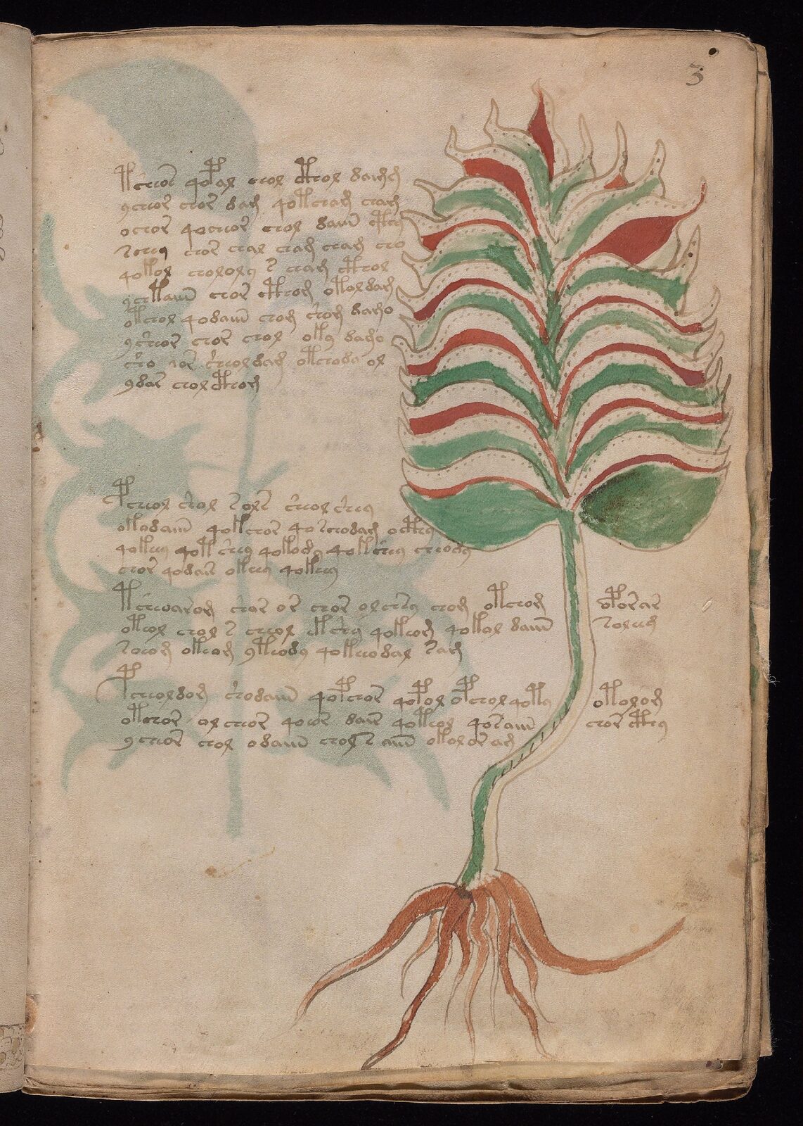 Beinecke MS 408, folio 3r — herbal section.