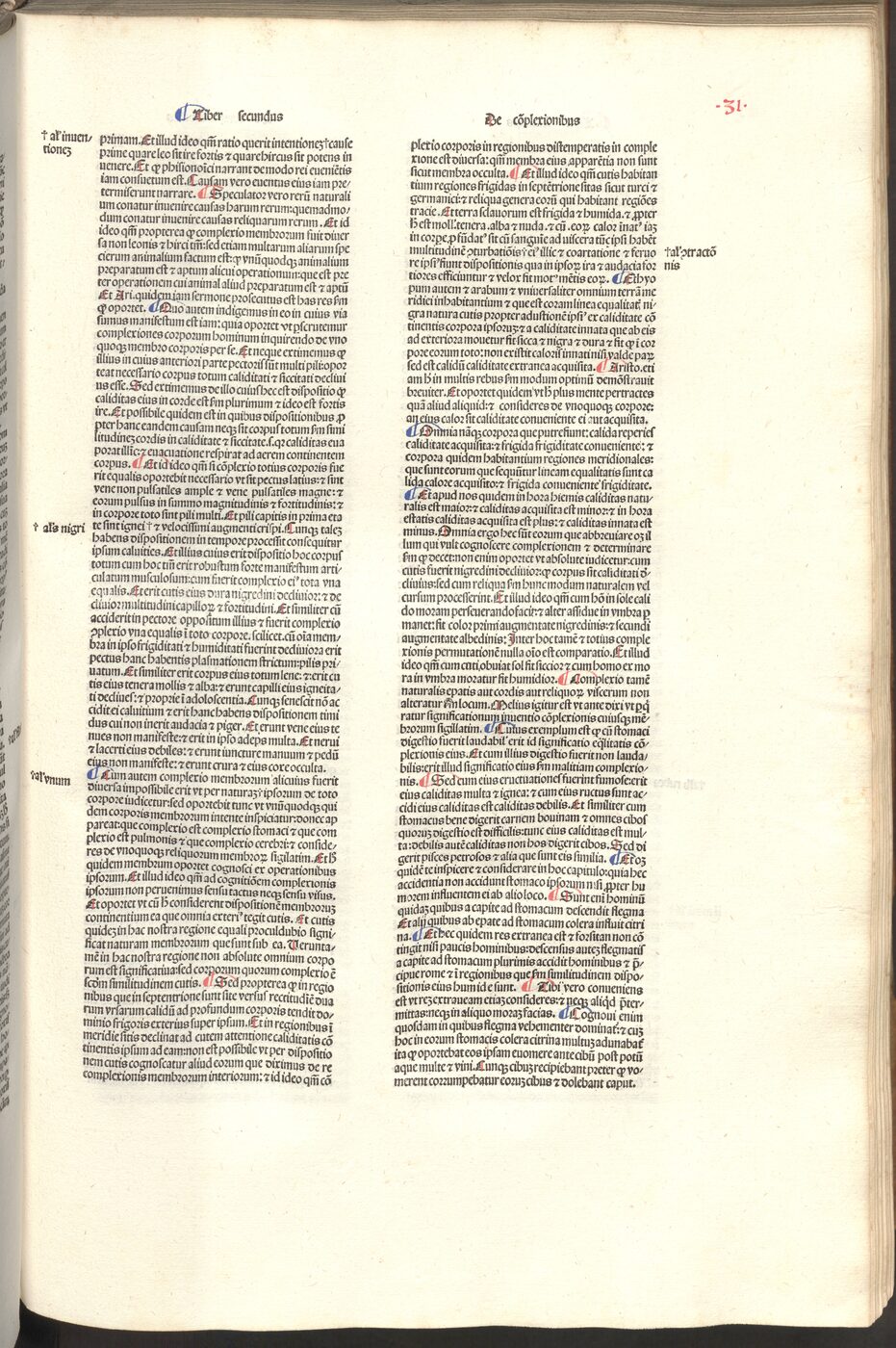 Pinzi 1490 Galen print